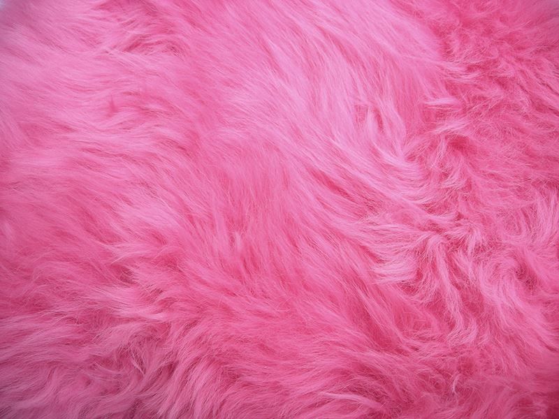 Tappeti: Lammfell Teppich Pink – Nuovo e nell'imballaggio originale da Arbedo venduto da patagonialeatherrugs 3