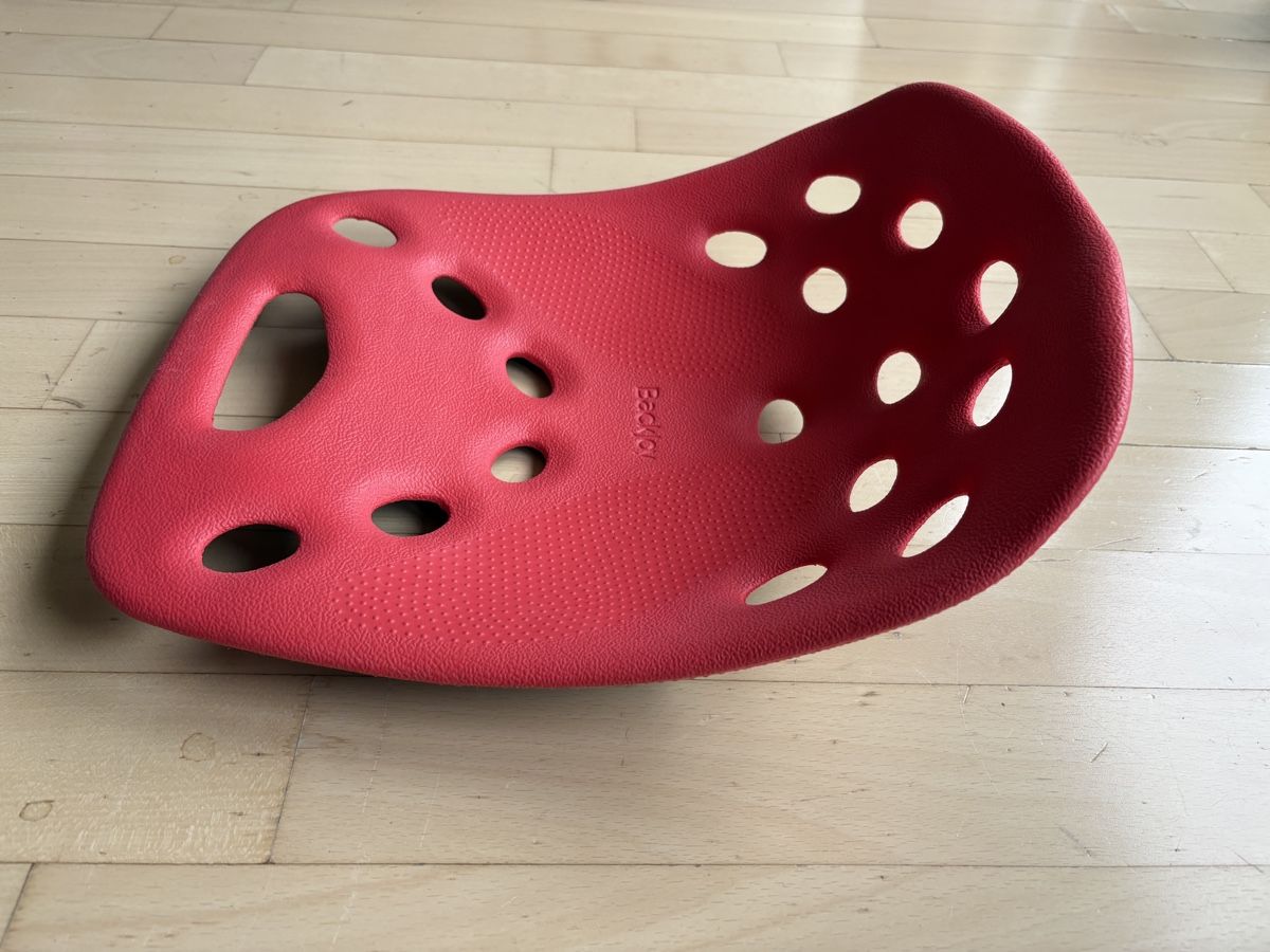 Sedie: Backjoy SitSmart Posture – Usato da Lausanne venduto da ValeMerky 1