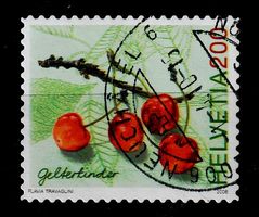 2006 Kirsche Gelterkinder