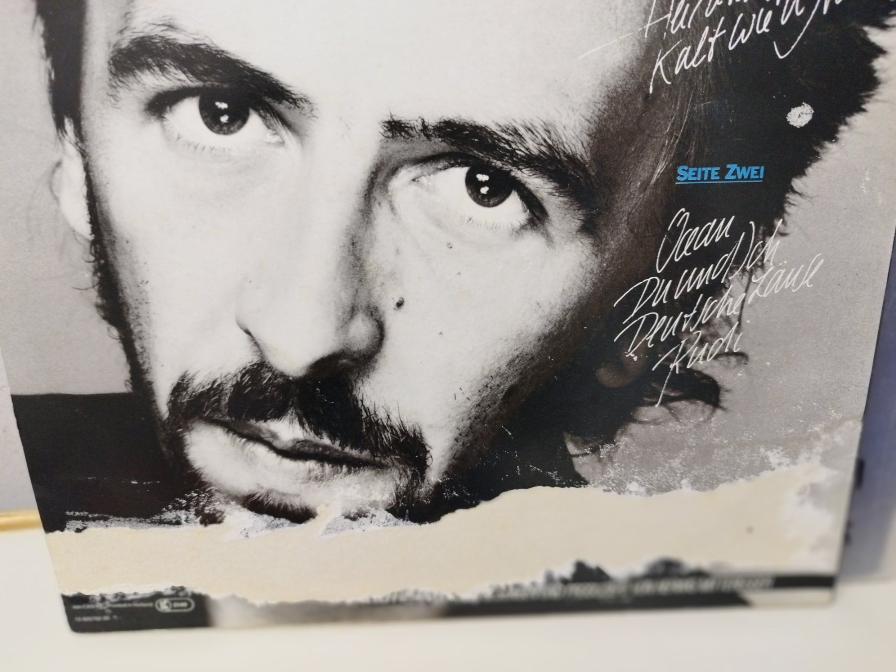 Dischi in vinile: LP. Ab Fr 1.--  siehe Foto – Usato da Lupfig venduto da fred-feuerstein 1