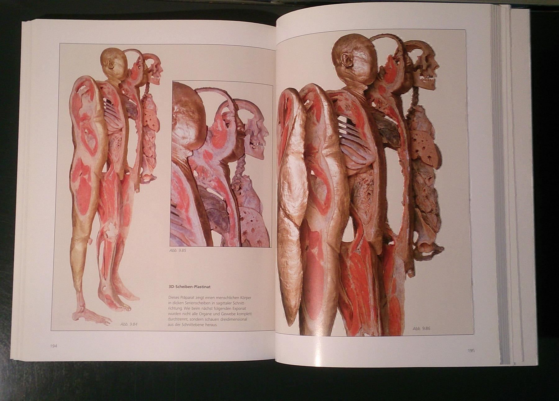 Libri: Körperwelten-Katalog  Ausstellung 1999 – Usato da Dübendorf venduto da Povo 7