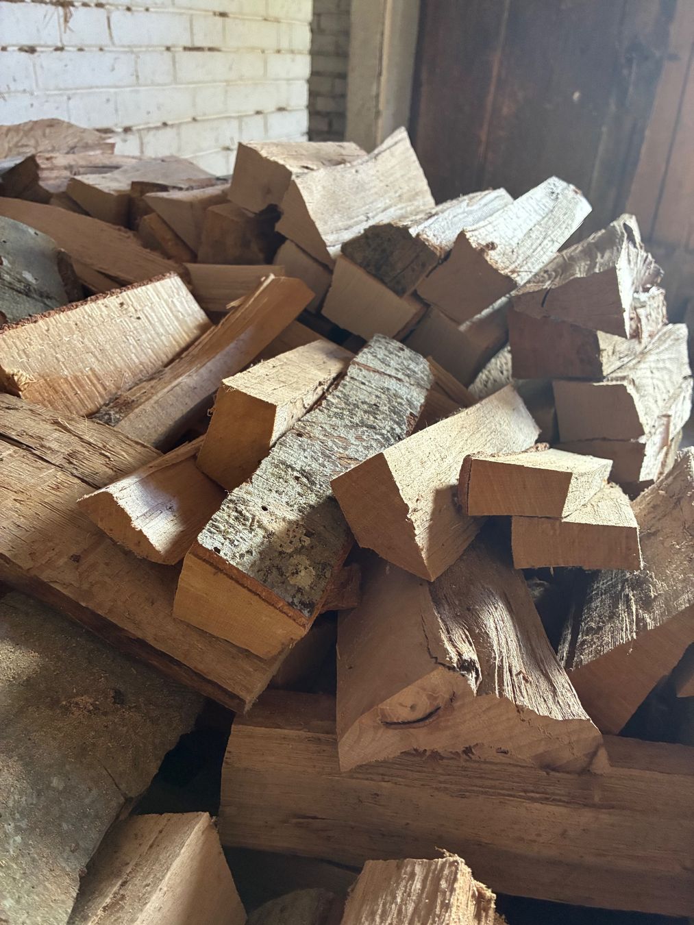 Articoli in legno: Brennholz Buche 1 Ster – Nuovo (secondo la descrizione) da Aarau venduto da val_yyx5 1