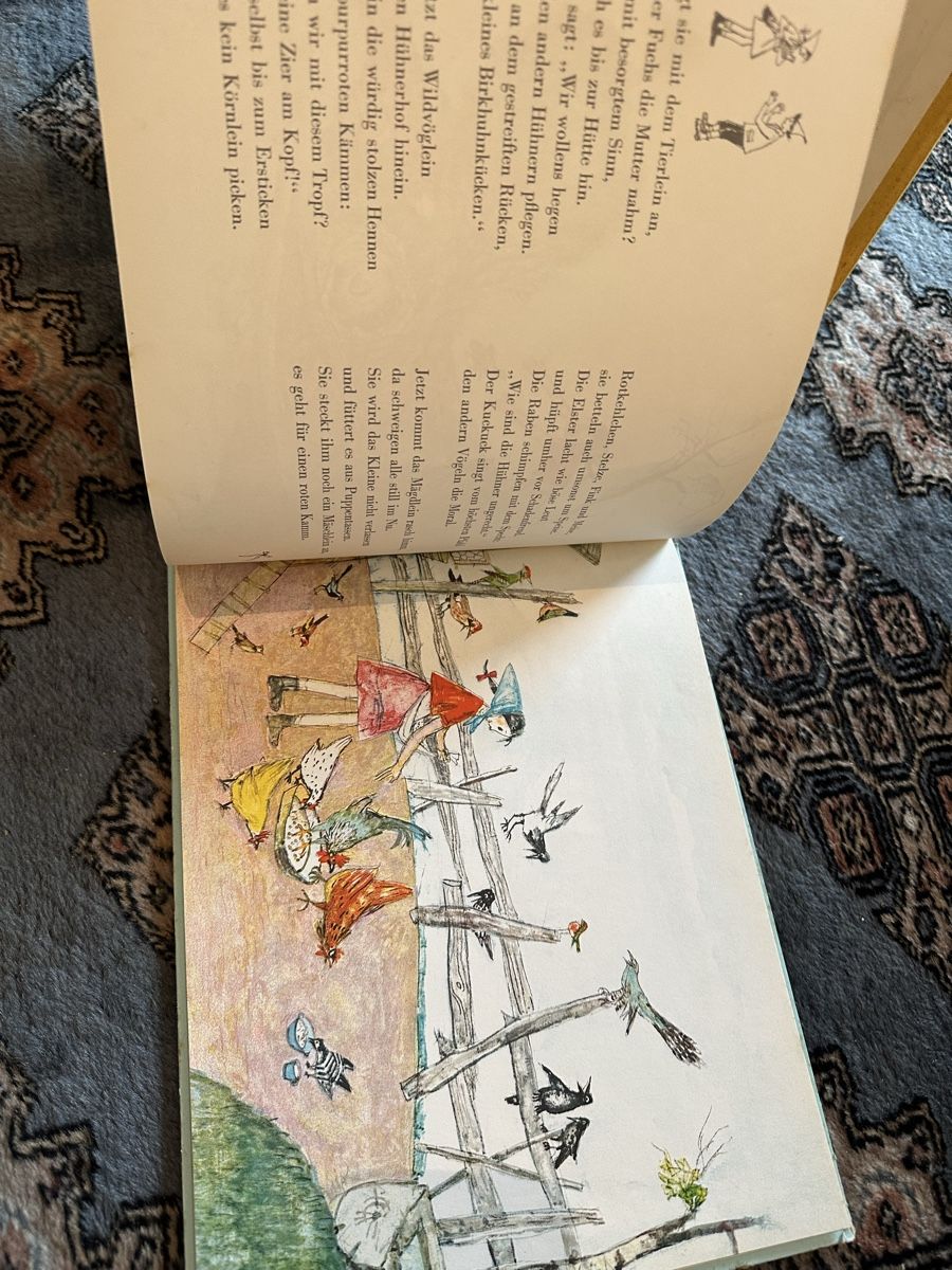 Libri: Flurina und wildvöglein – Usato da Uster venduto da bek_v2ct 6