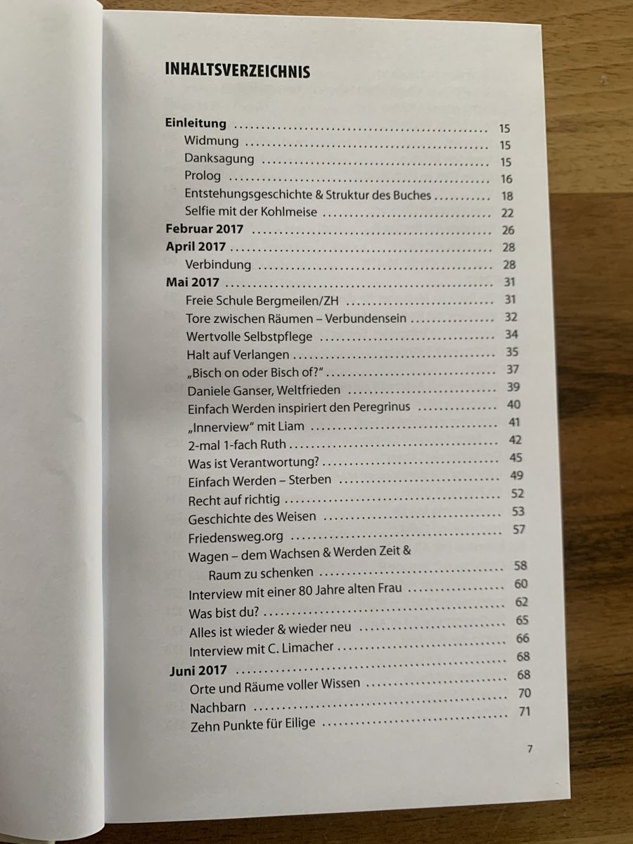 Libri: Peregrinus - Einfach Werden Pascal Furrer Achtsamkeit Natur – Usato da Horw venduto da dreamsofacid 2