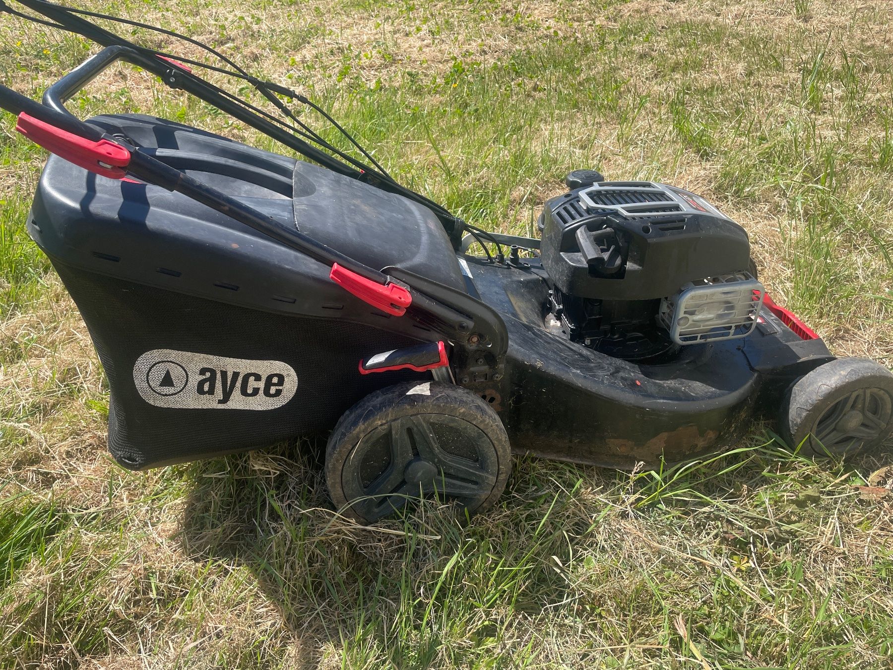 Tagliaerba: Rasenmäher kein Roboter Garten Werkzeug – Usato da Giebenach venduto da Toto222 2