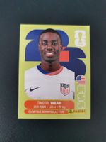Panini FIFA World Cup Sticker USA 12