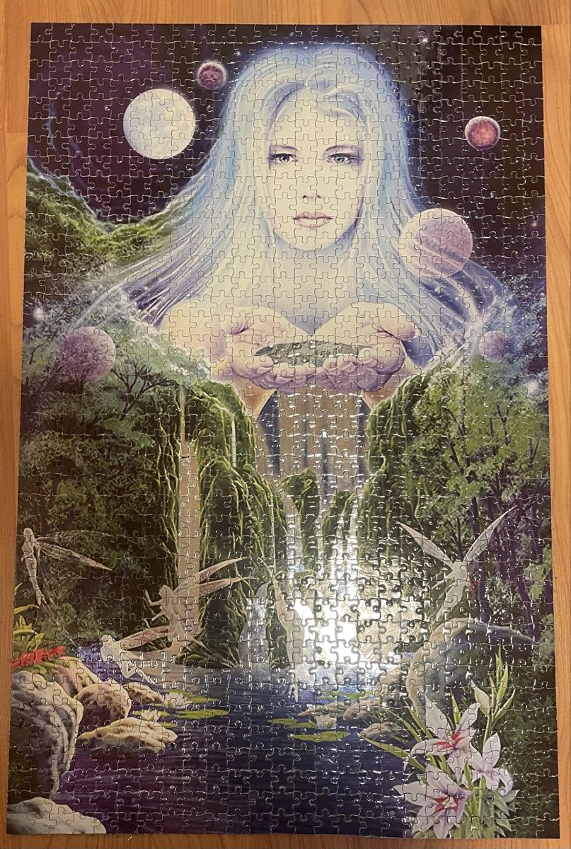 Puzzle: Puzzle 2x1000 – Usato da Baar venduto da Muriel_6558 1