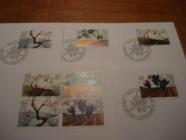 Liechtenstein, FDC Z-Druck Jahreszeit, 1994, FDC Einzel + 4e