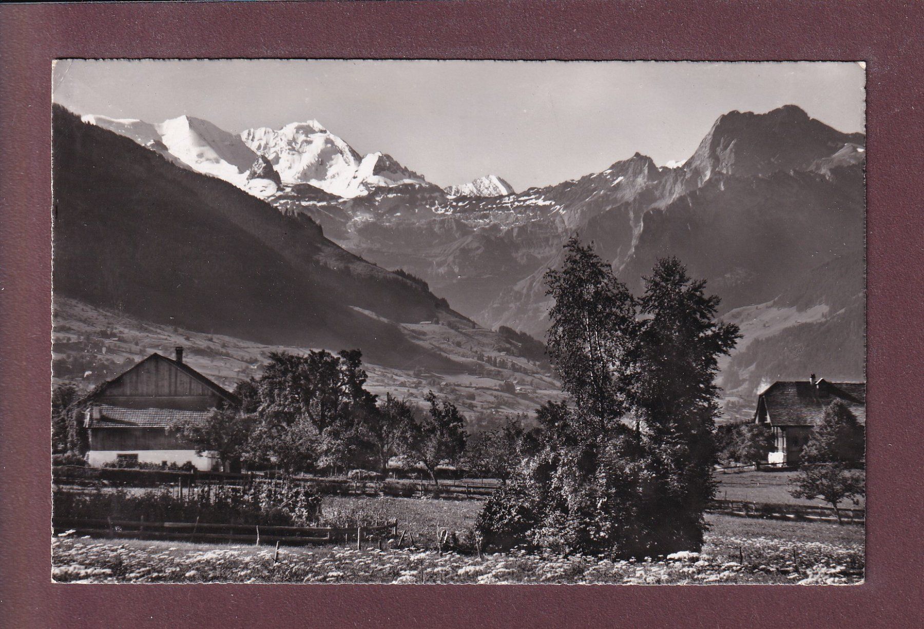 Ansichtskarten: Aus AESCHI - Blümlisalp - 1953 – Gebraucht aus Pully von nicecards