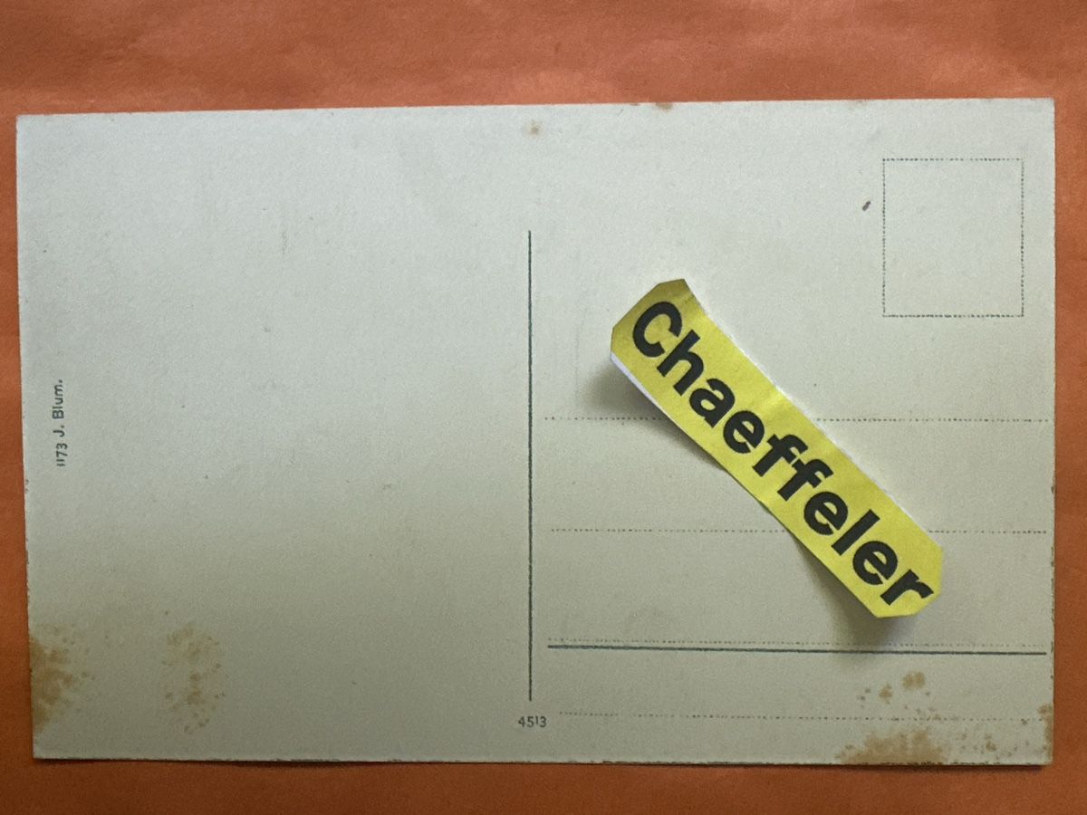 Cartoline postali: Alte Ansichtskarte: Gruss aus Rychigen. Top – Usato da Zürich venduto da Chaeffeler 1