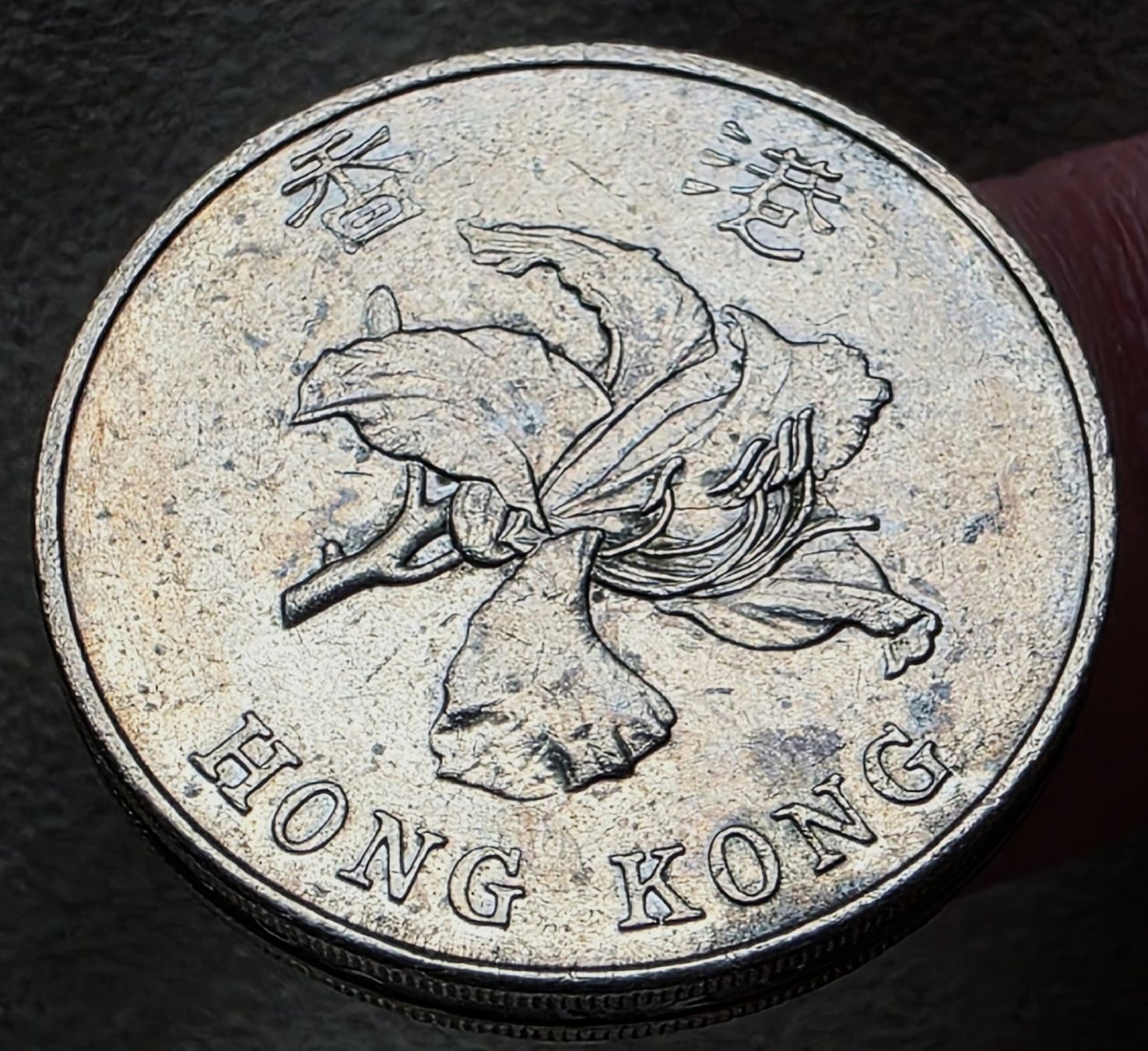 Tutti le monete: HONG KONG 5 DOLLARS 1998 – Usato da Winterthur venduto da Creso70