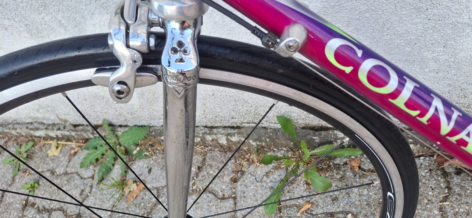 Colnago Vélos: Rennvelo COLNAGO – D'occasion à Kyburg par JBMNT2020 5