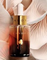 NEU Canopy Serum — Vit C, B3, Kojisäure & Süssholzwurzel