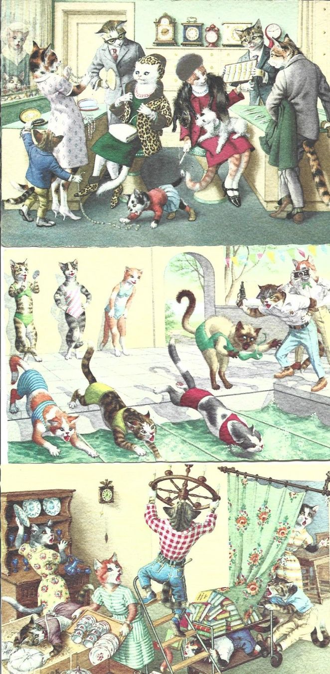 Cartoline postali: AK Katzen  Humor – Usato da Appenzell venduto da mai25