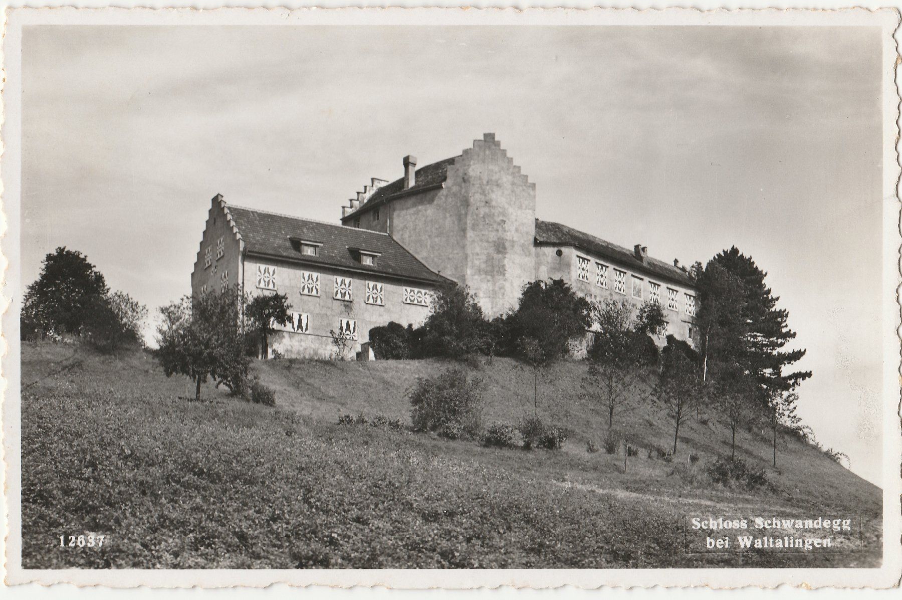 Cartes postales: 3 AK;  Sternenberg, Hörnli, Schwandegg – D'occasion à Fällanden par Blausegelfliege 4