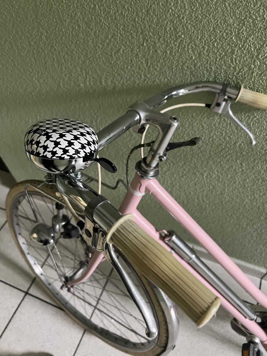 Biciclette: Hübsches Retro Damenvelo – Usato da Wynigen venduto da saranemi 4