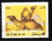 Tutti i francobolli: Timbre UAE - Ajman - 1969 - Obl. – Usato da Blonay venduto da Leglaude_01