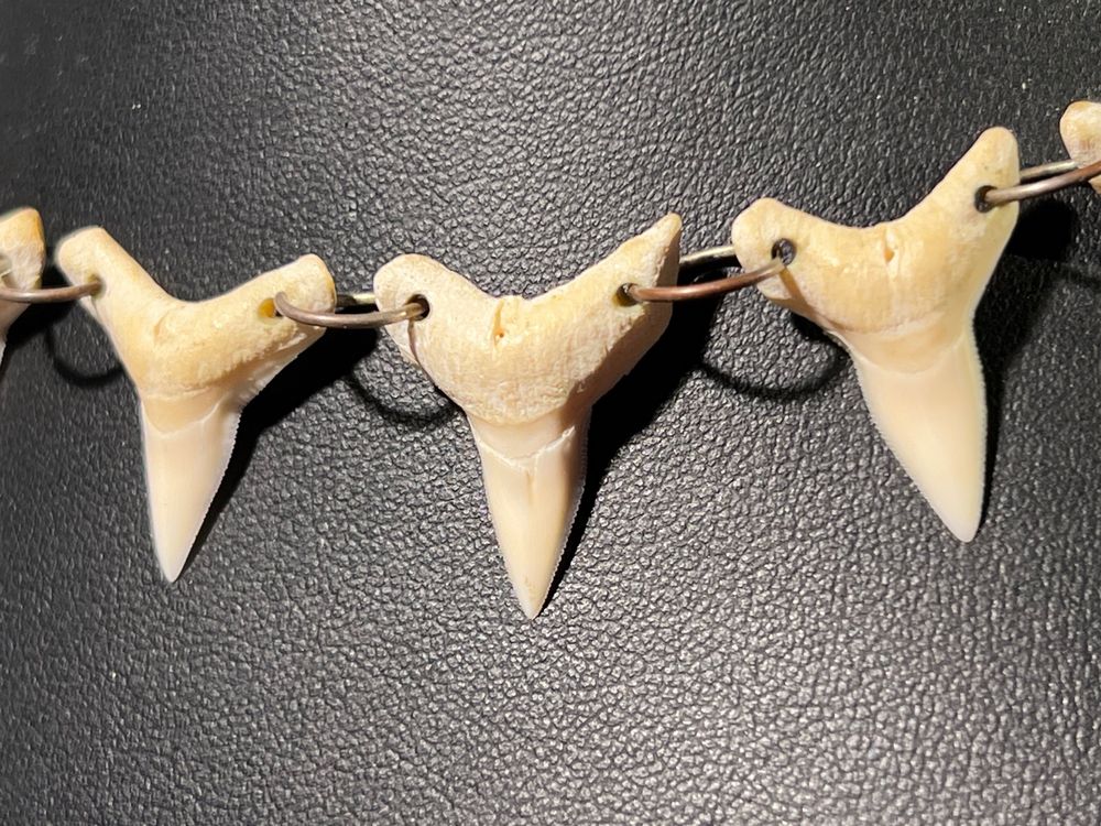 Lot De 500 Pendentifs Perles En Dents De Buffle Véritable - Marron - Percés Pour Création Bijoux
