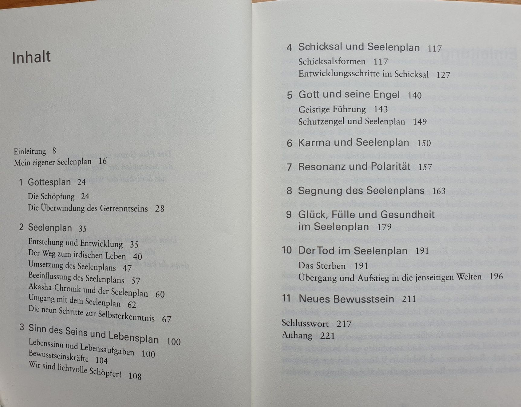 Livres: Der Seelenplan – D'occasion à Allschwil par Jojina123 2