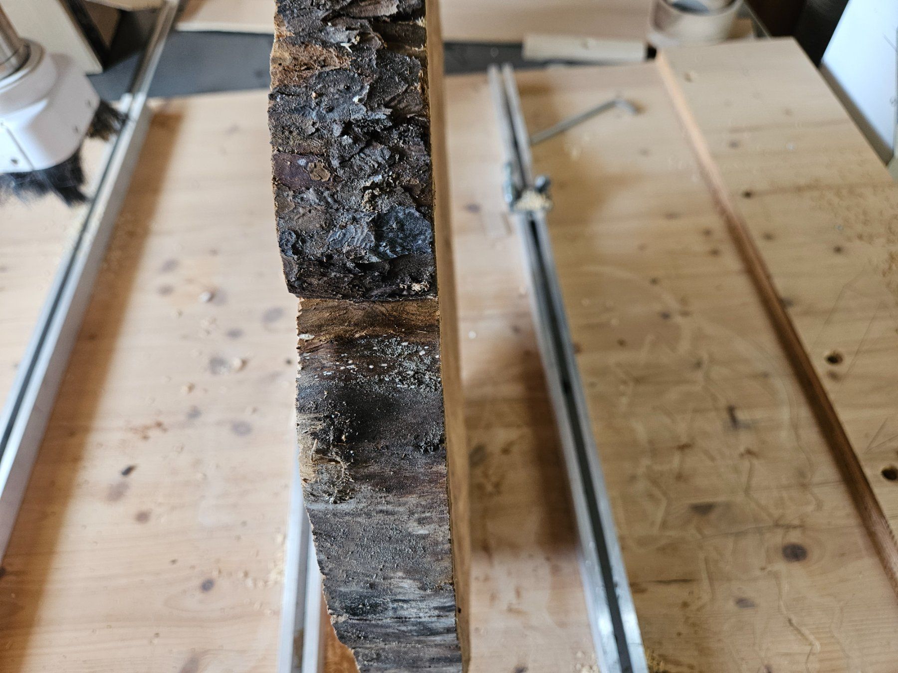 Articles en bois: Baumscheibe Kirschbaum Holz – Neuf (Voir description) à Schangnau par egli6.2 1