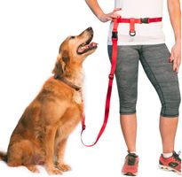 Rot Laufleine Hundeleine Jogging Walking Wander