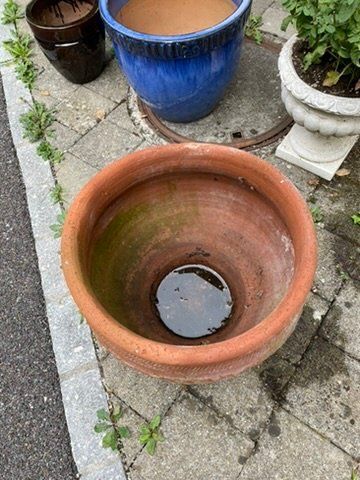 Pots de fleurs: Grosser Topf – D'occasion à Forch par ESELSTEIN 1
