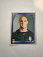 Panini UEFA Champions League 2008-2009 - Nr. 333