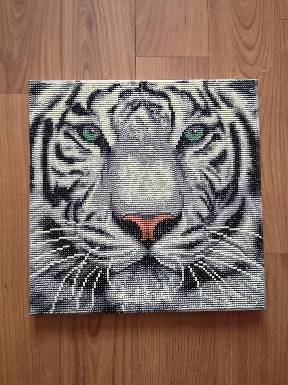 Foto & Immagini: Diamondpainting Tiger Bild – Usato da Hinwil venduto da sar_8w6x