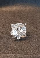 Swarovski Kristall Schweinchen Sammler Geschenk