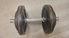 Hantel 15 Kg (ohne Stange)