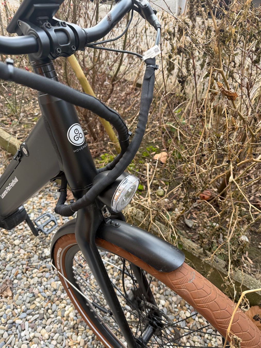 Ego Movement Biciclette: Top Ego Movement Julia E-Bike – Usato da Zürich venduto da mgraziano90 4
