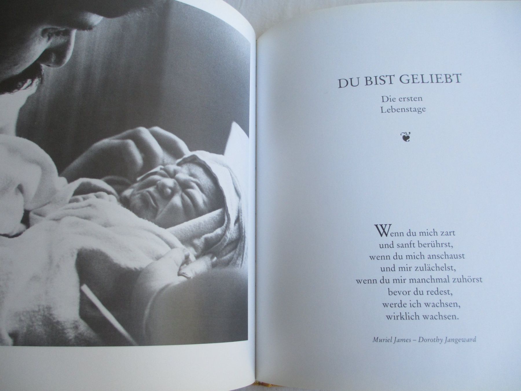 Libri: "Du bist ein Geschenk" Buch zur Geburt – Nuovo (secondo la descrizione) da Herisau venduto da fan_h9qj 2
