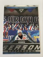 Sportzoo Season Breakdown Weber ZSC
