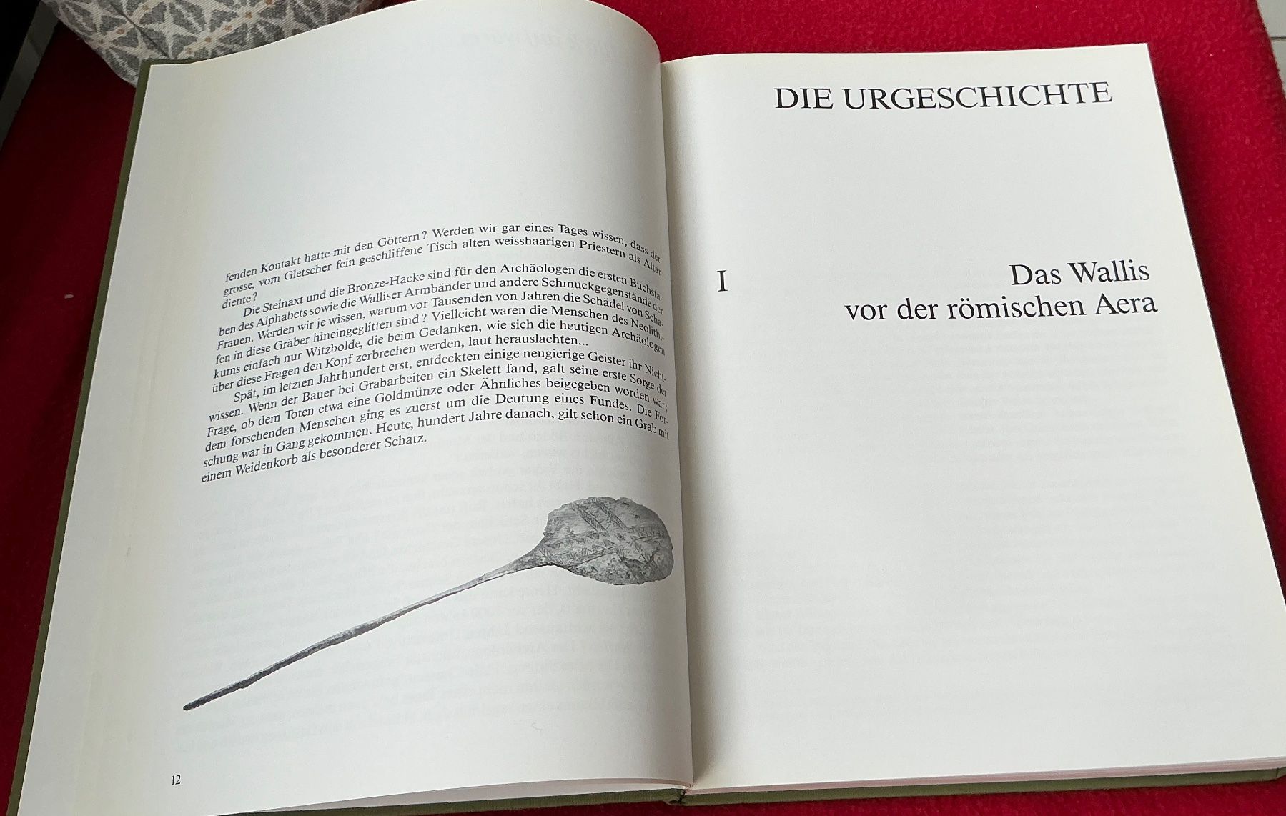 Bücher: Maurice Zermatten - Ein Panorama der Walliser Geschichte – Gebraucht aus Naters von seidengut 3