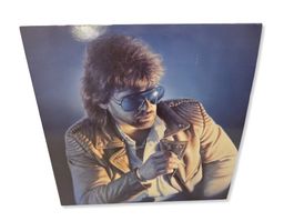 LP "Sonne in der Nacht" von Peter Maffay