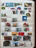 China 1991 gestempelt aus Abo Topp