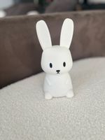 Luce notturna bambini coniglietti (ricarica USB)