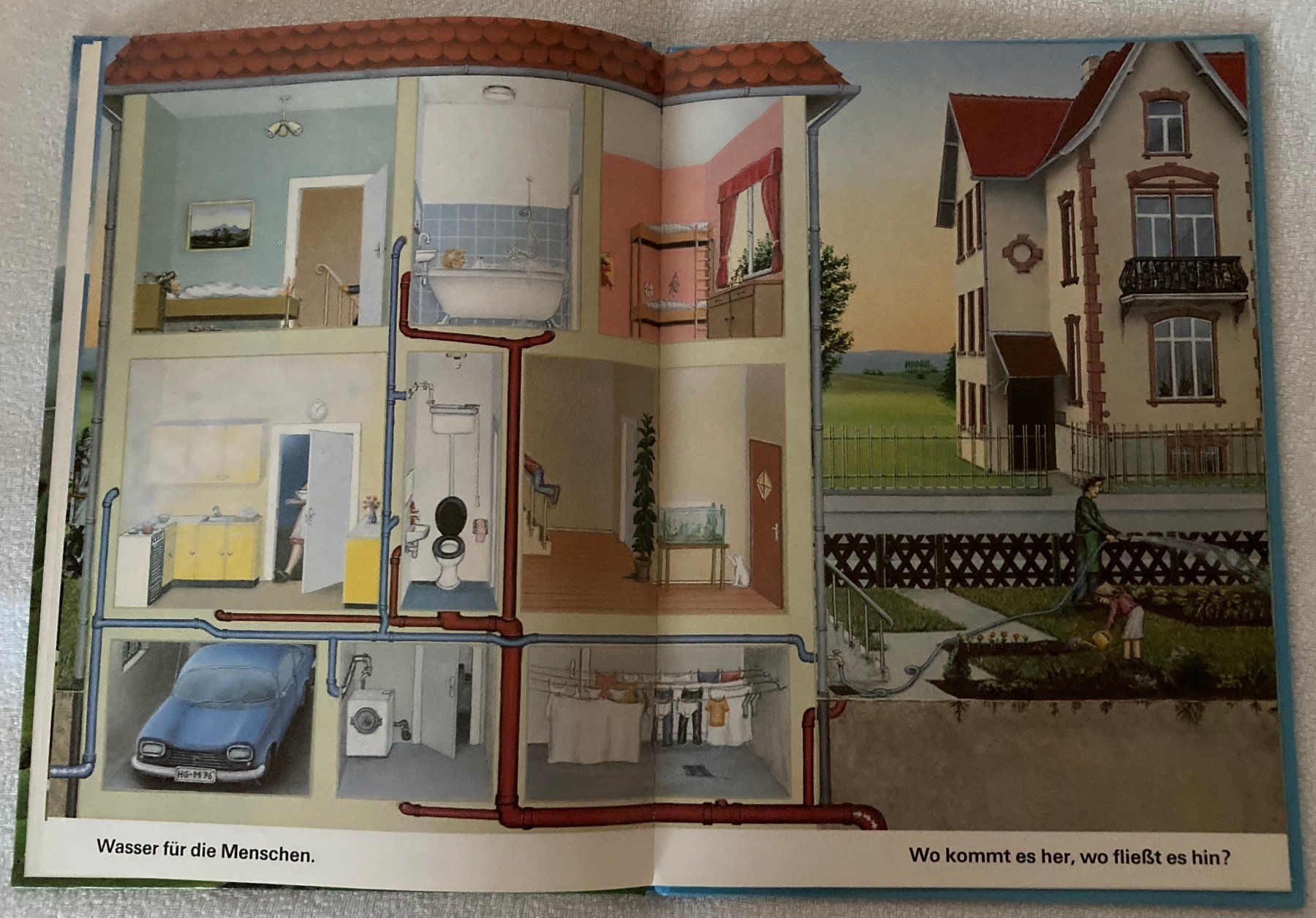 Libri: Das Bilderbuch vom Wasser – Usato da Liebefeld venduto da Rhy19 3