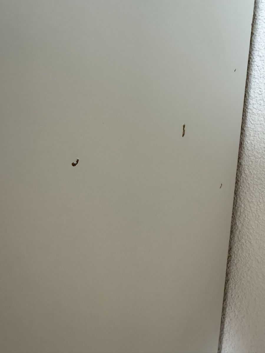 Ikea Schränke: IKEA PAX-Schrank mit Spiegeltüren – Defekt aus Rothrist von antonia1605 7