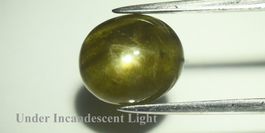 3,26 ct Saphir étoilé à 6 rayons