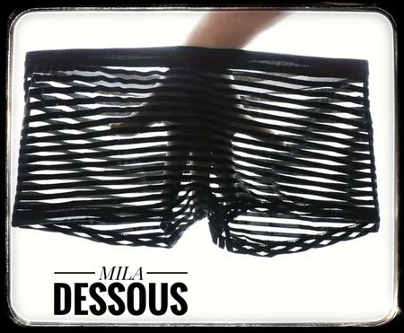 Sexy Halbtransparente Stretch Boxershorts XXL Menswear