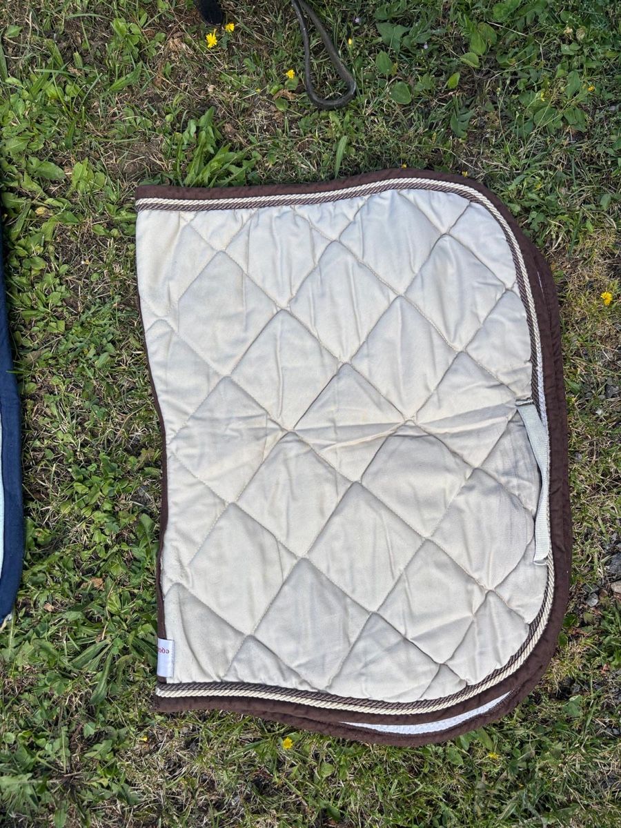 Altro in Accessori per animali: Set di Cavallo – Usato da Airolo venduto da dyl_jn5j 8