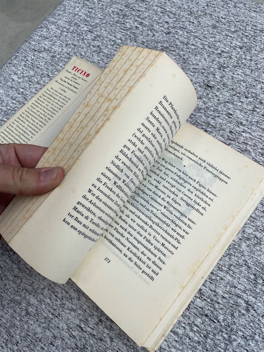 Libri: Ticino Vintage book buch – Usato da Chiasso venduto da Carrara-Modellismo 5