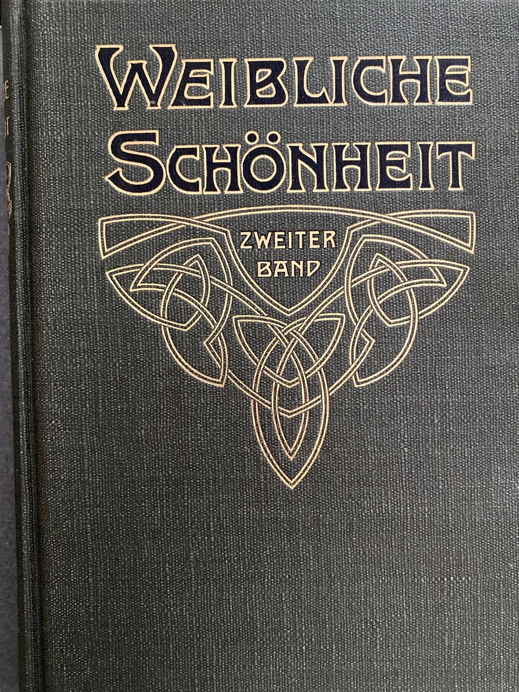 Libri: Bruno Meyer: Weibliche Schönheit, 1905 – Usato da Zürich venduto da JAD01 4