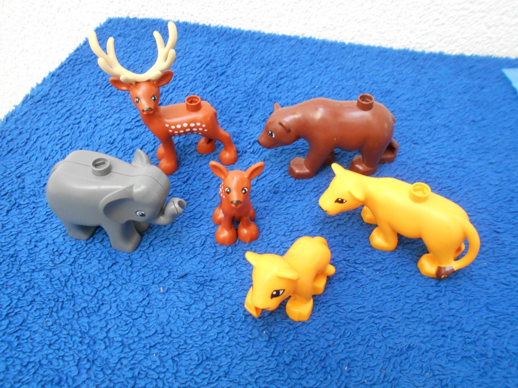 Lego Spielzeuge: Duplo Tiere ( Set 2019 ) – Gebraucht aus Niederuzwil von kleine_hexe