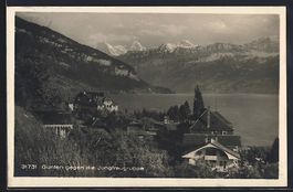 Gunten, Totalansicht gegen die Jungfraug