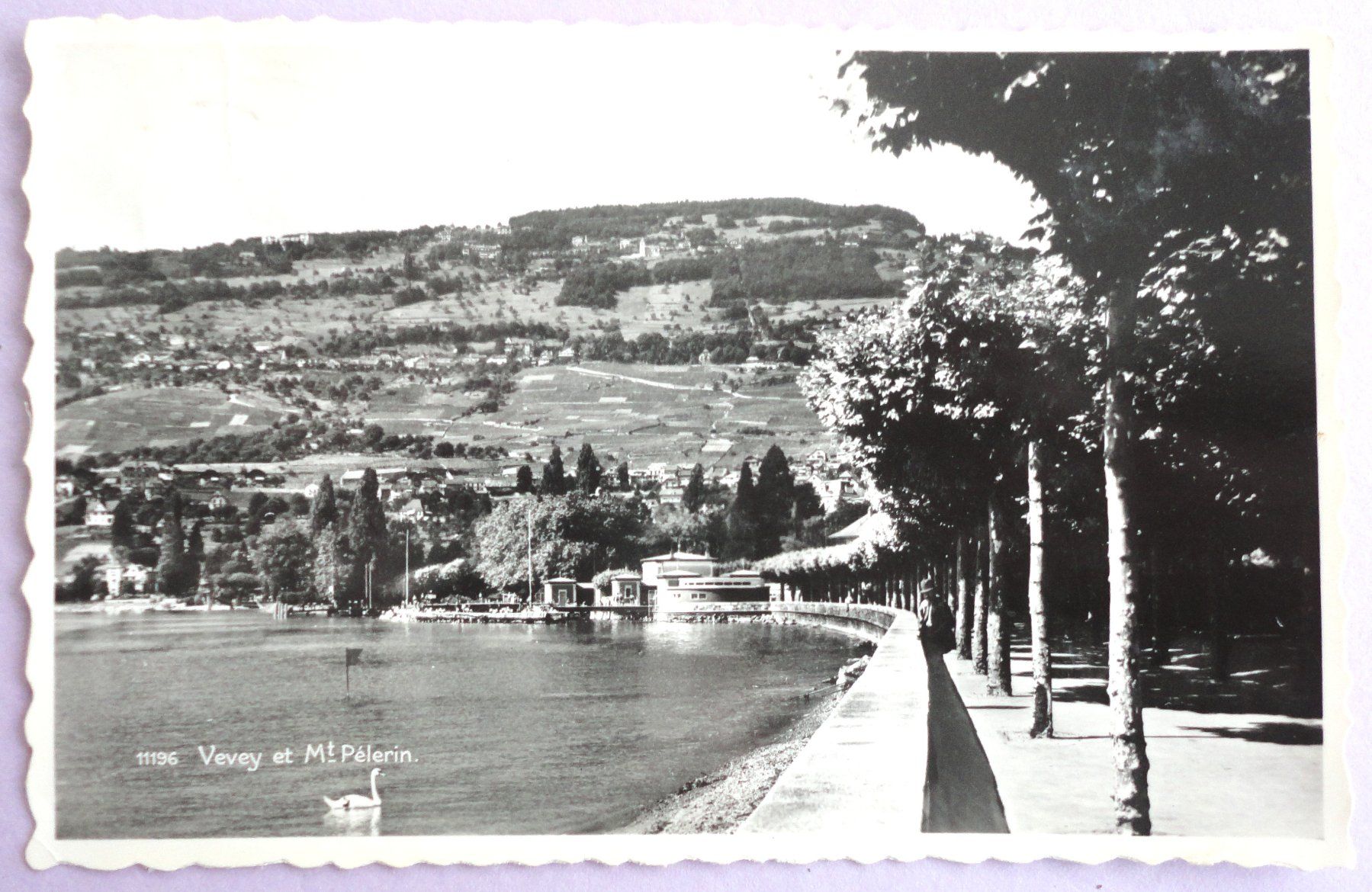 Ansichtskarten: Vevey et Mt Pélerin – Defekt aus Fétigny von Billy2miny