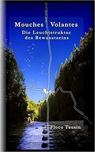 Libri: Mouches Volantes – Usato da Neuchâtel venduto da Dualseele