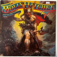 Molly Hatchet - Flirtin' With Disaster, Schallplatte, 1979!