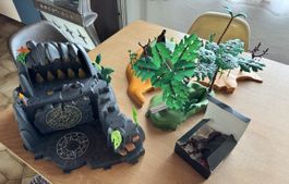 Playmobil Abenteuerschatzinsel inkl Batterie
